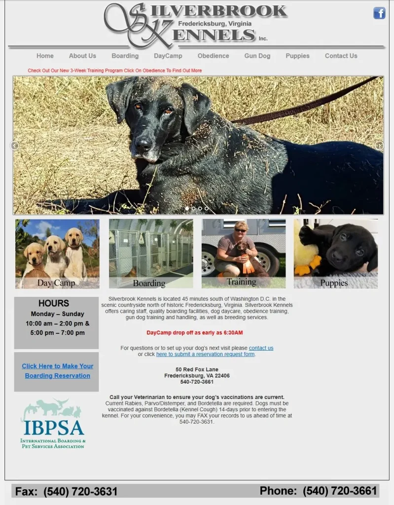 Black Dog on a Leash Lying in Dry Grass, Shown on the Silverbrook Kennels Homepage Hero Image Black Dog on a Leash Lying in Dry Grass, Shown on the Silverbrook Kennels Homepage Hero Image