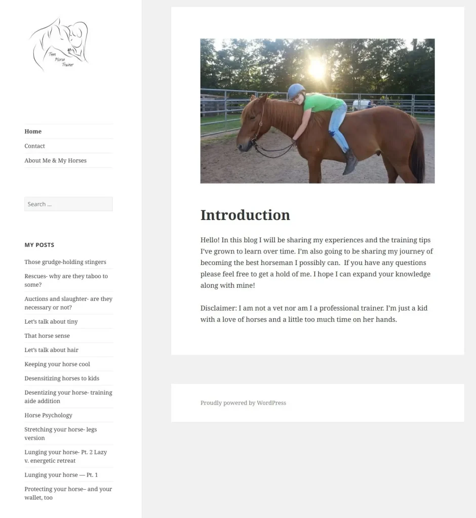 a Screenshot of the Teen Horse Trainer Blog from 2018 a Screenshot of the Teen Horse Trainer Blog from 2018