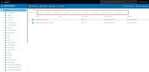 Directadmin File Manager Options