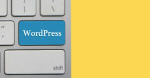 Wordpress Plugin Vulnerability