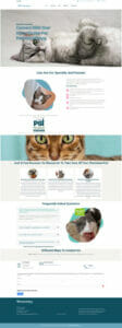 Cherished Cat Pet Sitter