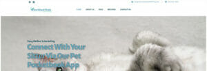 Cherished Cat Pet Sitter