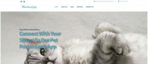 Cherished Cat Pet Sitter