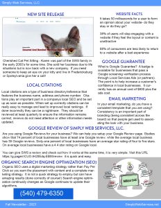 Newsletter Page with a Blue Header and the Title 'new Site Release'; Left Side Shows a Large Cat Image with Caption Text, and the Right Side Lists 'website Facts' in a Bold Header.