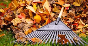 Fall Has Arrived