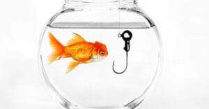 Phishing Banner
