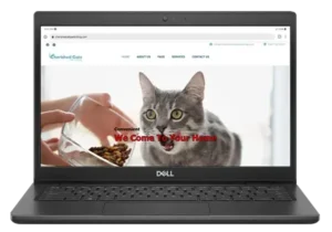 Cherished Cats Pet Sitting Website