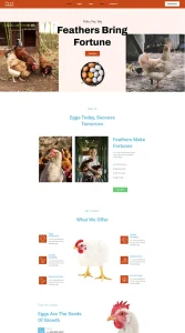 Eggs for Sale