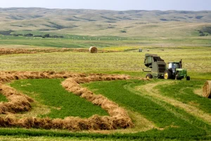 Hay Farming