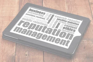 Reputation Management Services by Simply Web Services, Llc, in Fredericksburg, Virginia