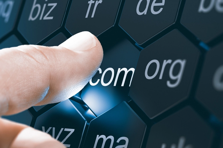 Domain Name Registration Domain Name Registration