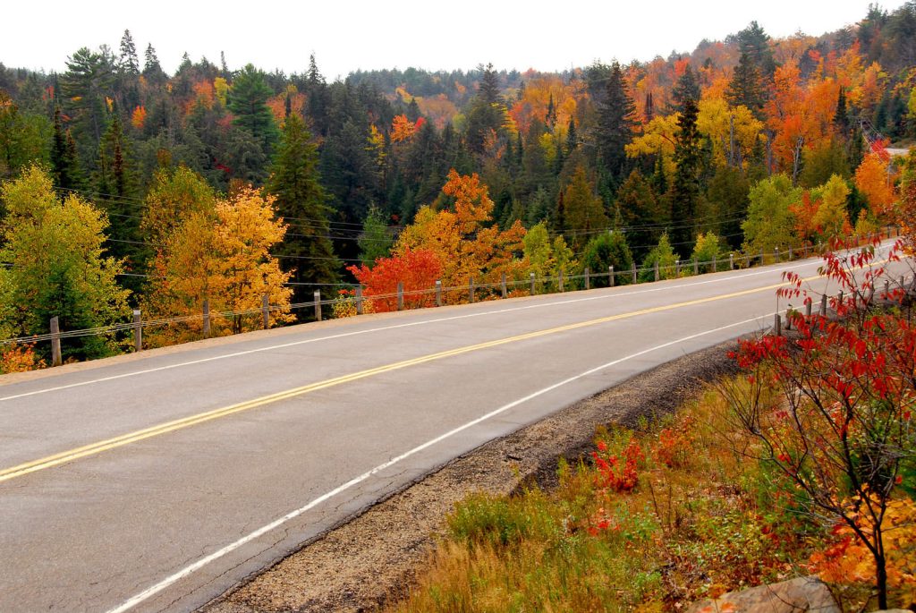 Highway with Fall Foliage Highway with Fall Foliage
