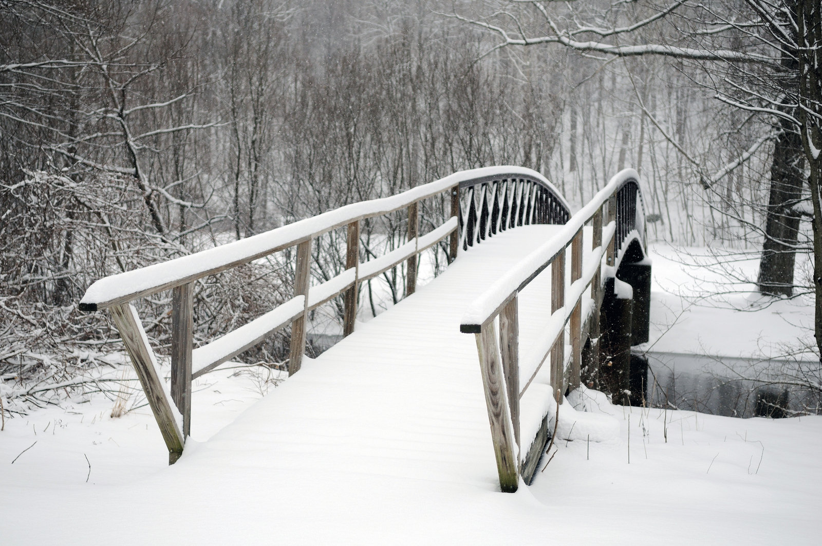 Winter 2023-24 – Newsletter